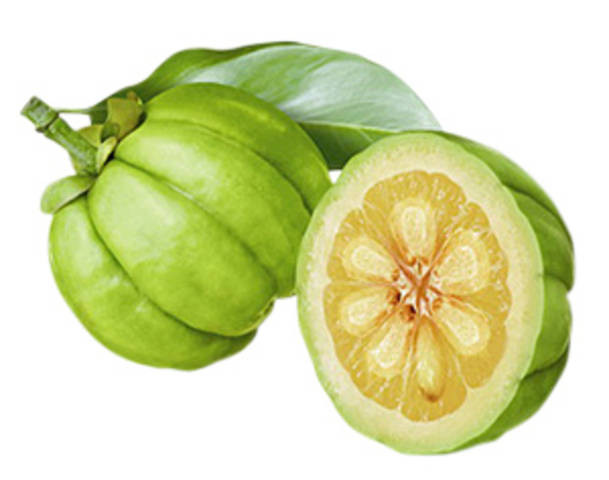 Is It Beneficial To Use Garcinia Cambogia To Get Rid Of Weight