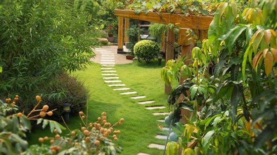 How To Manicure Your Landscaping