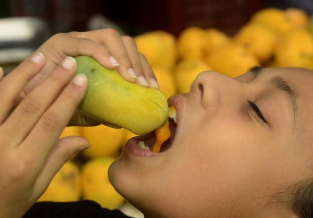 Good News For The Mango Lovers