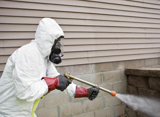 World Class Pest Control Services In Edmonton