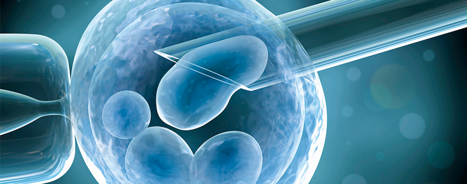 IVF With or Without Donor Egg – Which Method To Choose?
