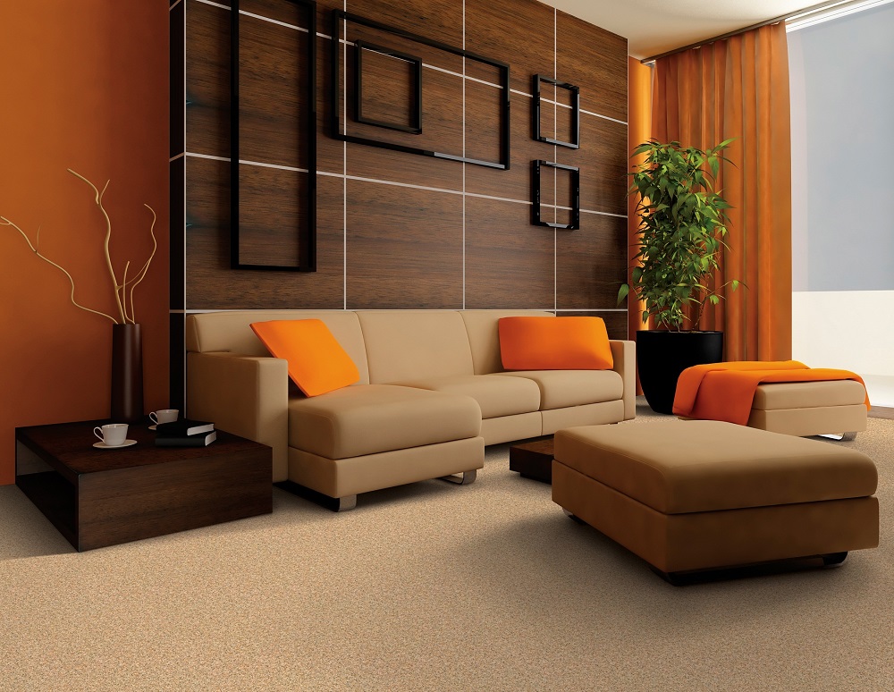 Questions To Ask From A Professional Carpet Cleaning Company