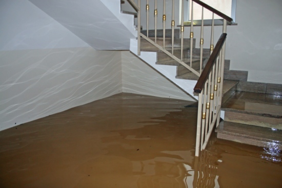 Water Damage Restoration – Why You Shouldn’t Let Water Damage Rest