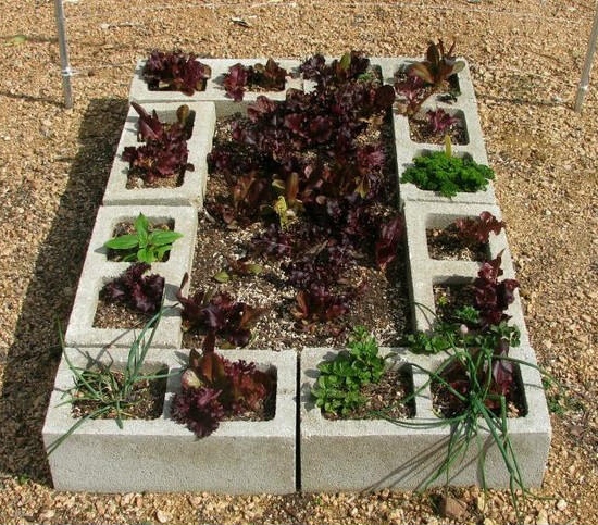 Cinder Blocks Raised Gardening Beds 3365