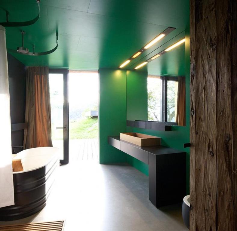 bathroom decoration ideas of modern small bathroom using dark green wall paint and black appliances combination