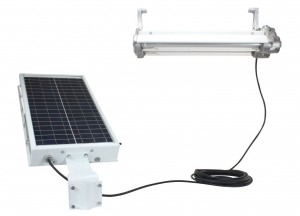 Solar LED Lights