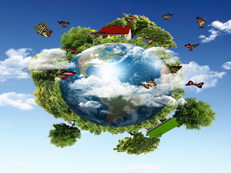 Benefits Of ISO 14001 Environmental Management System In Queensland