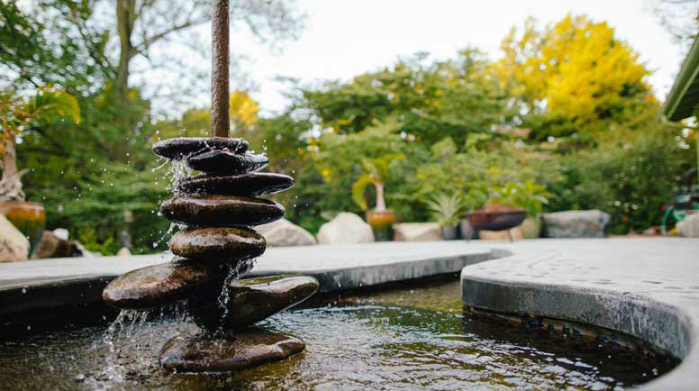 Water Features in Your Backyard
