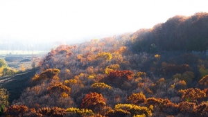 Picturesque Surroundings: 5 Nature Reserves near Toronto